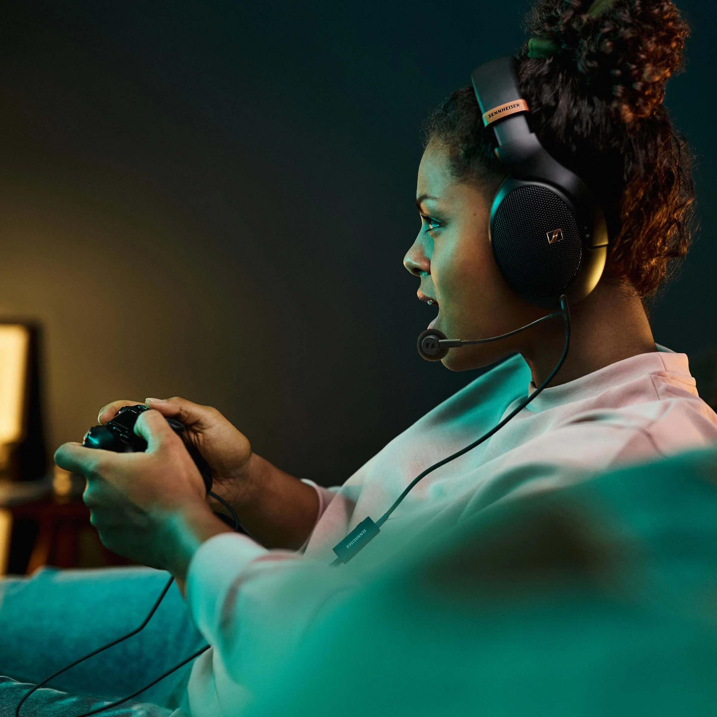 HD 500 Series Boom Arm Microphone - Image 4